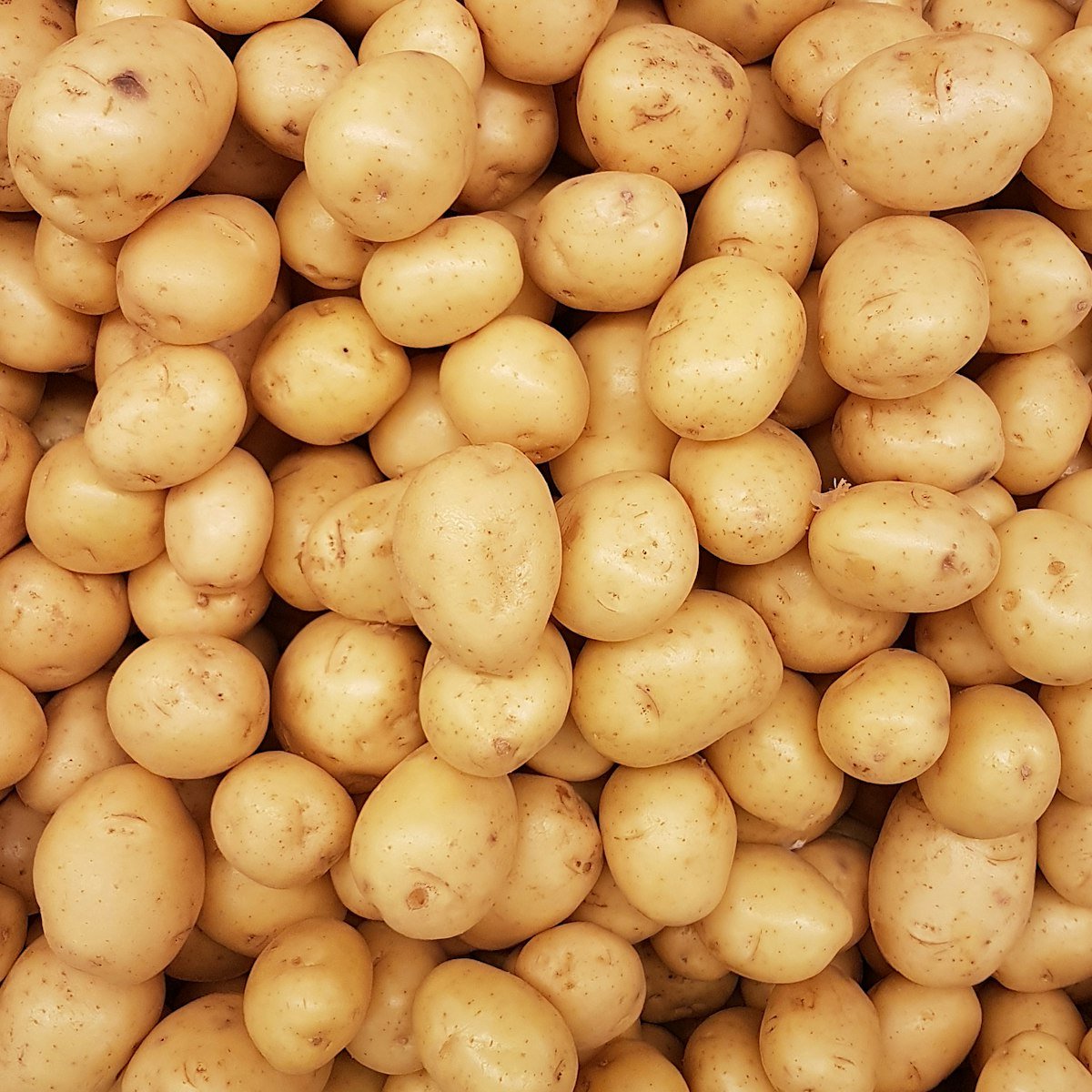 How to Store Onions, Potatoes & Garlic in Bulk Without Wastage