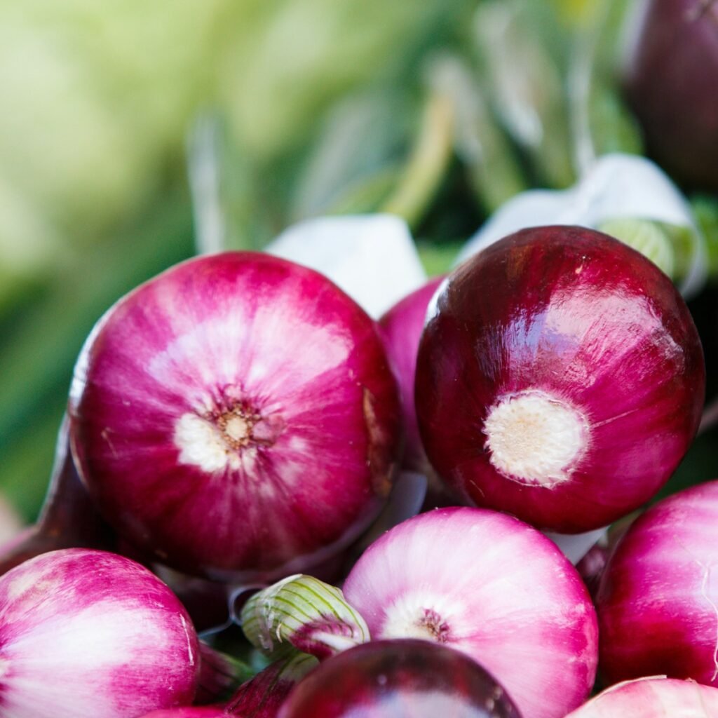 Premium glossy A-grade red onions