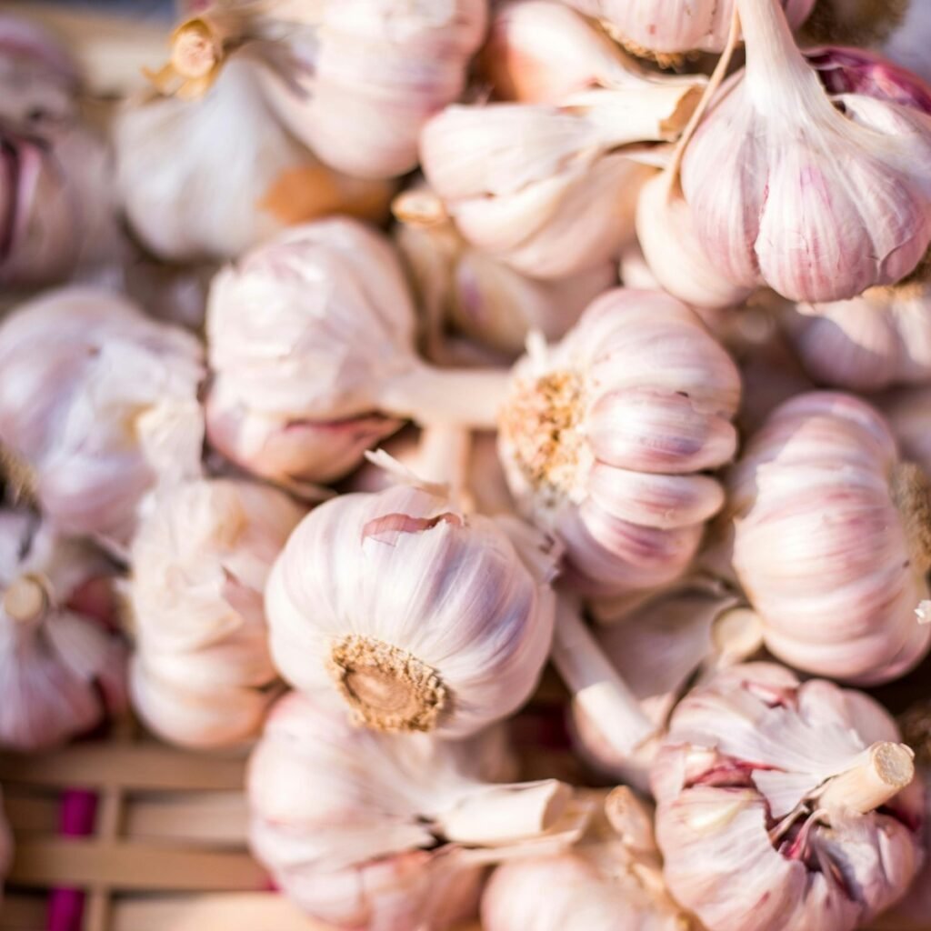 Fresh garlic wholesale supplier Pune